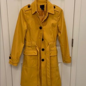 Adorable yellow coat